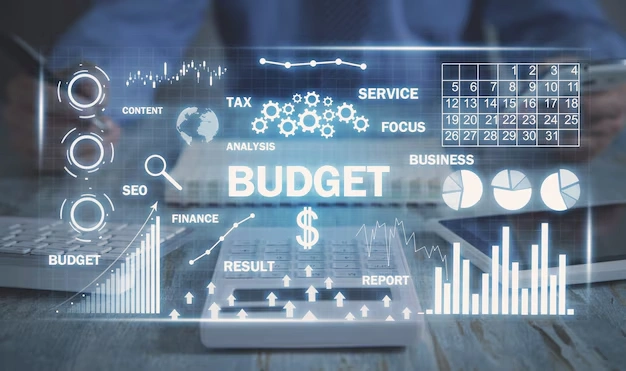 Business Budget Software
